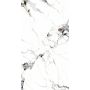 Panel stěnový SPC Mramor Carrara Bílý Lesklý 120 x 280 cm 4 mm (B)