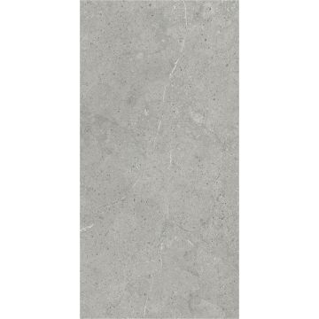 Panel stěnový SPC Kámen Limestone Šedý Mat 60 x 120 cm 4 mm