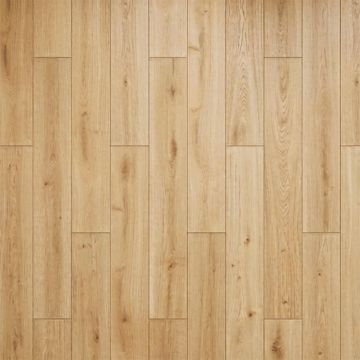 Vinylový podlahový panel SPC Dub Světlý Mat 18 × 122 cm 4 mm