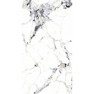 Panel stěnový SPC Mramor Carrara Bílý Lesklý 120 x 280 cm 4 mm (A)