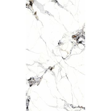 Panel stěnový SPC Mramor Carrara Bílý Lesklý 120 x 280 cm 4 mm (B)