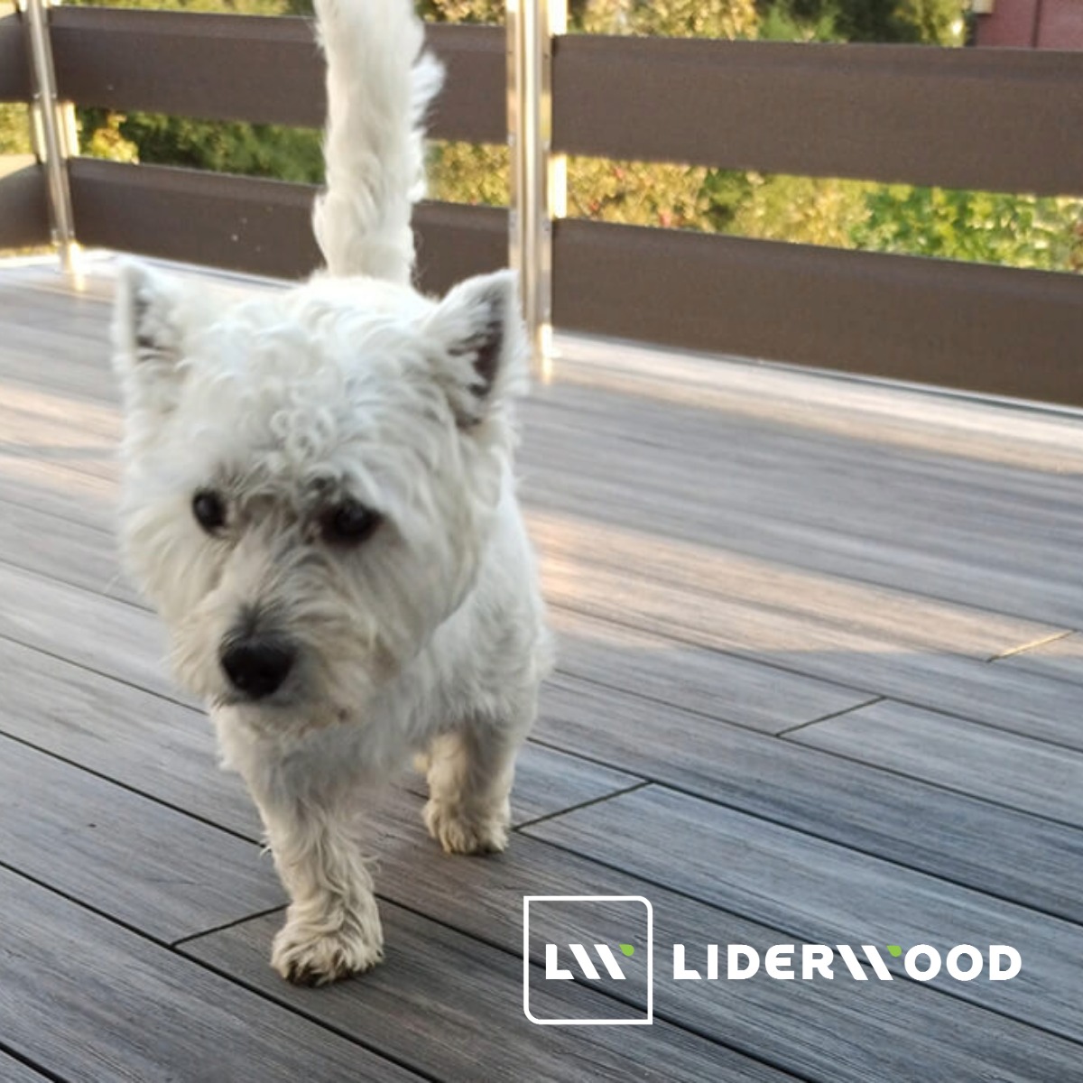 Terasová prkna – vše, co stojí za to vědět