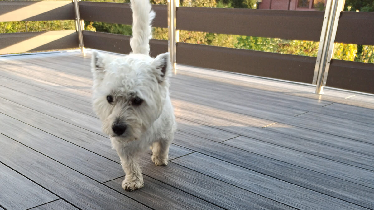 Balkon a schody - kompozitní prkno Premium Šedý
