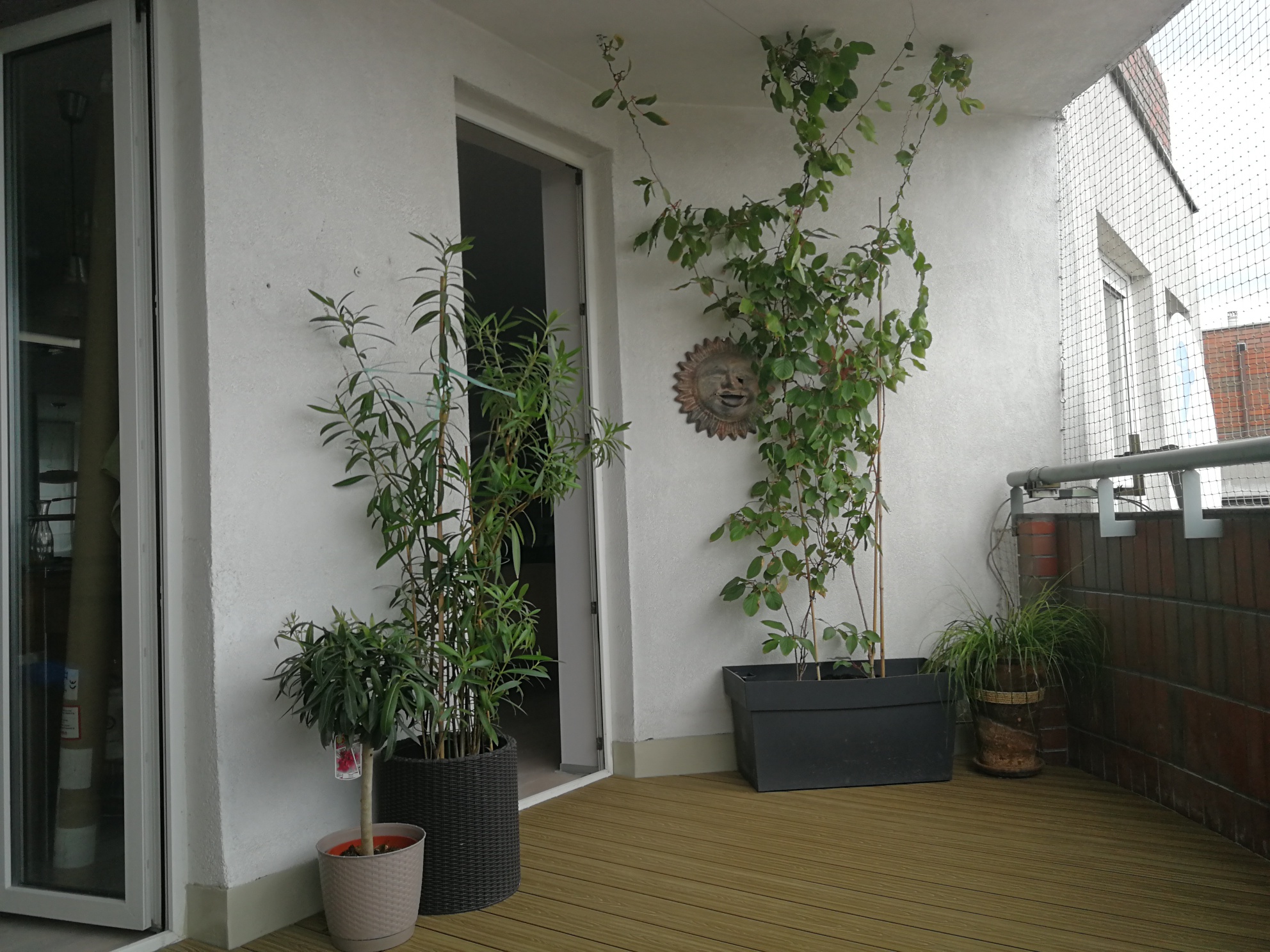 Balkon Honey Teak 3D – harmonie v městském prostoru